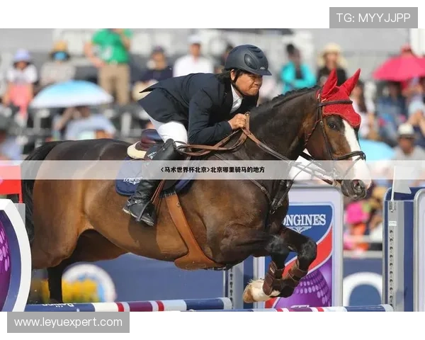 奥利塞数据含金量分析：是否匹配其赛场实际贡献